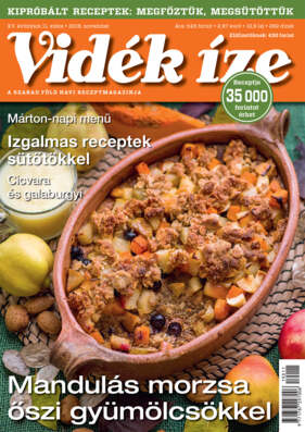 vidék íze címlap november